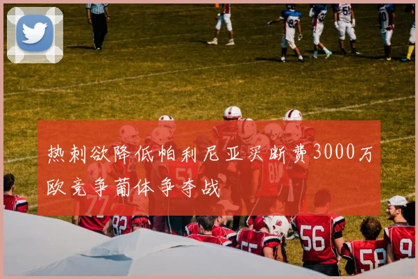 热刺欲降低帕利尼亚买断费3000万欧竞争葡体争夺战