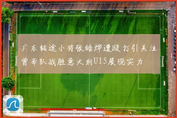 广东铭途小将张皓烨遭殴打引关注曾率队战胜意大利U15展现实力